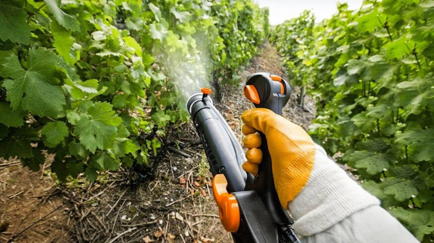 Production of plant protection products has soared in Russia