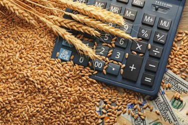 Grain market trends will be discussed online