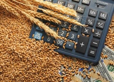 Grain market trends will be discussed online