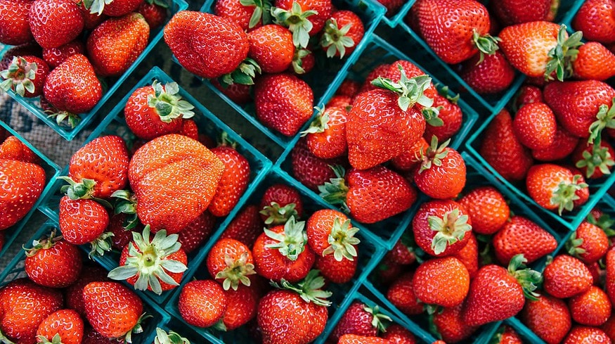 Strawberry complex to appear in Moscow region