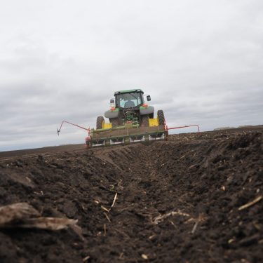 Altai region completes sowing works