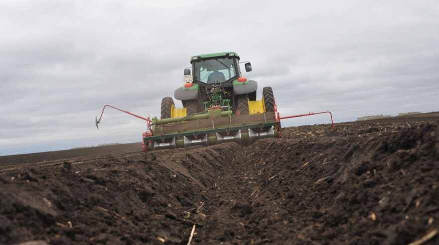 Altai region completes sowing works