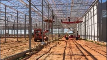 Turovsky greenhouse complex to launch in 3Q2020