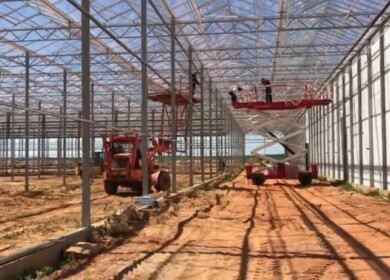 Turovsky greenhouse complex to launch in 3Q2020