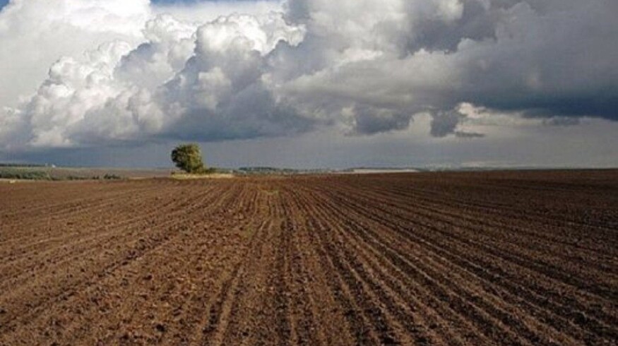 Sown areas in the Ryazan region exceeded million hectares