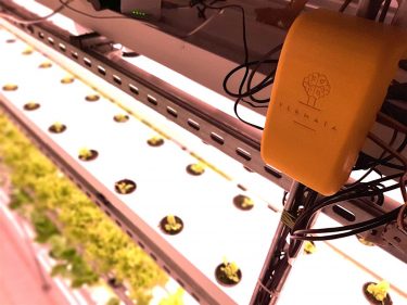 Medical Plants utilize the power of AI