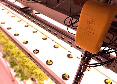 Medical Plants utilize the power of AI