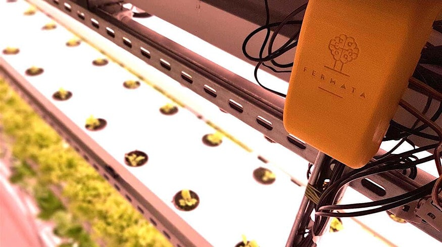 Medical Plants utilize the power of AI