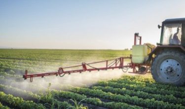 Spraying of fields is in full swing in Kemerovo region