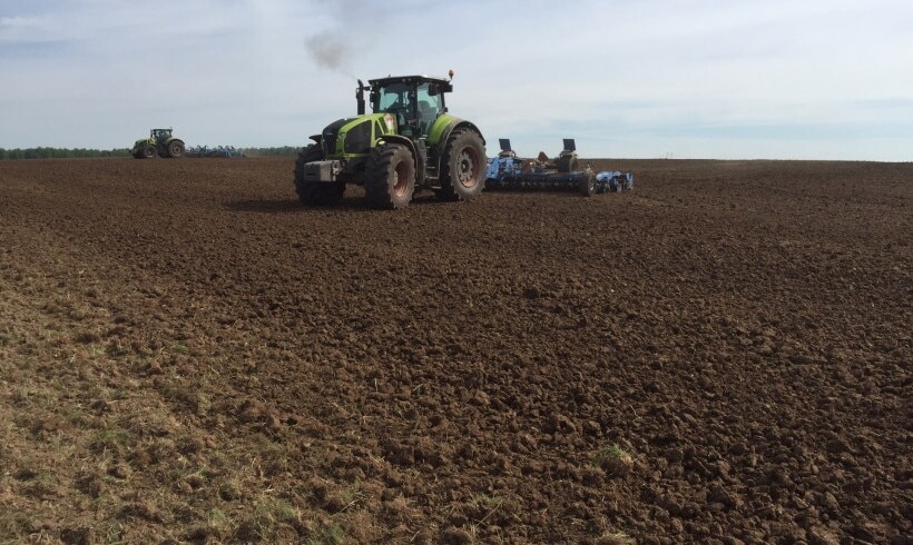 Sowing went smoothly in the Moscow region