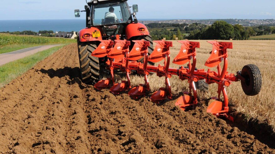 Russia finalizes sowing campaign