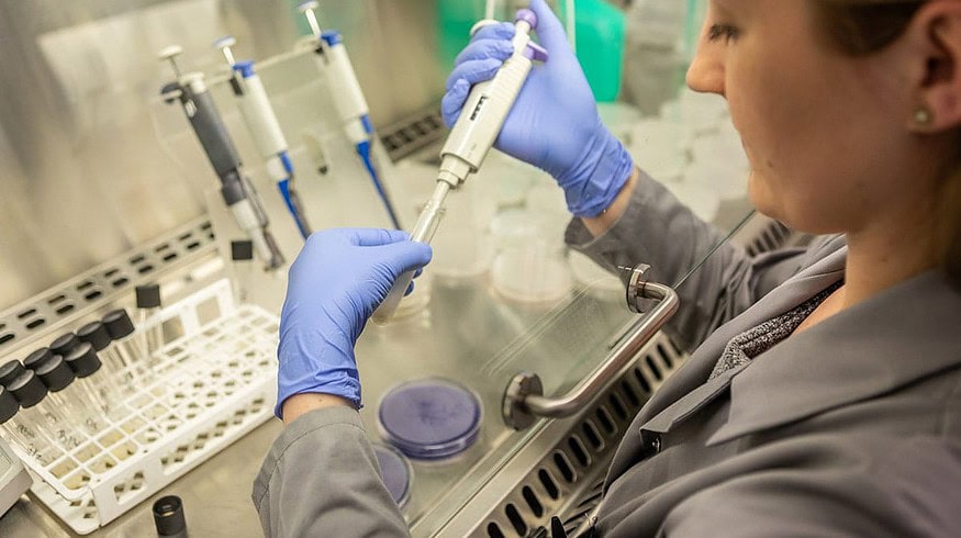 New soil improvement bioproducts to be produced in Poland
