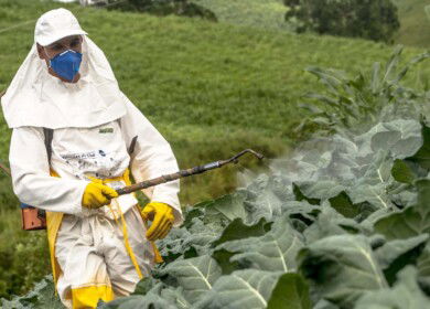 The production of crop protection agents increased in Russia