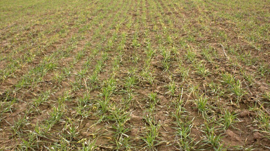 PhosAgro and Russian Academy of Science showcased new solutions