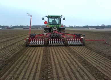 Orenburg region expands the sowing of winter crops