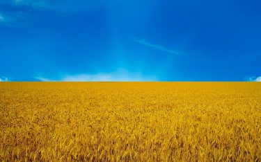 Ecofol plans expansion to the Ukrainian market