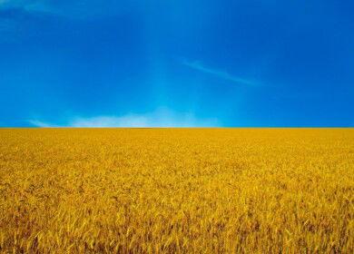 Ecofol plans expansion to the Ukrainian market