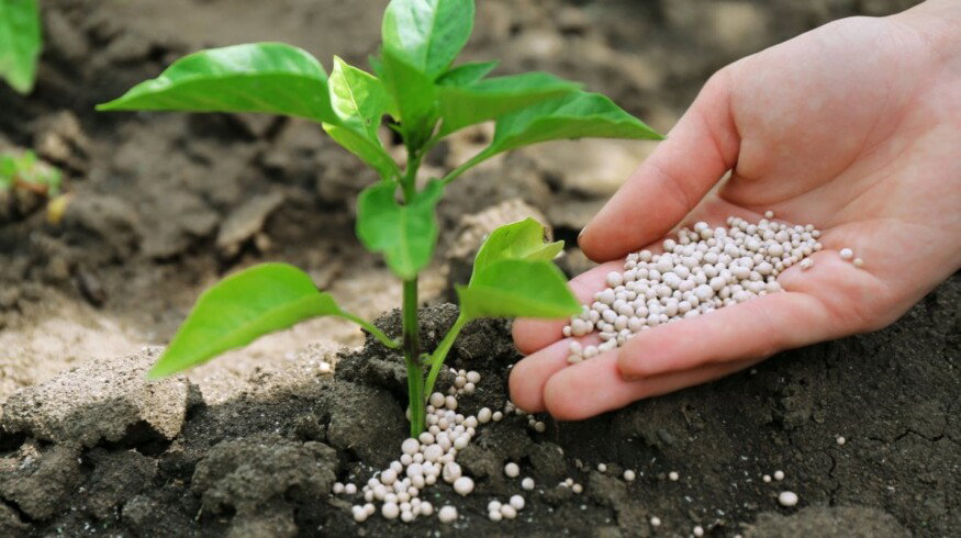 Nitrogen fertilizer production is slowly expanding in Russia