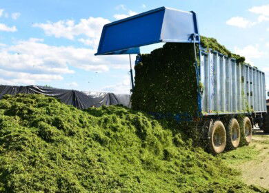 Azerbaijan wants to produce green manure fertilizer