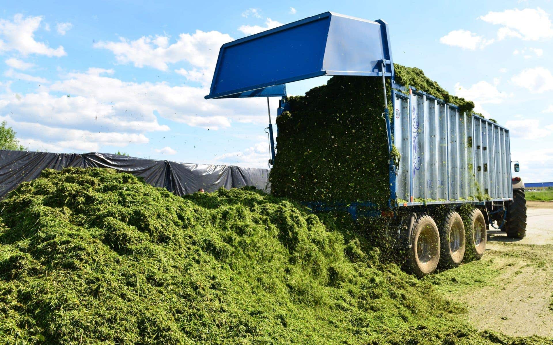 Azerbaijan wants to produce green manure fertilizer