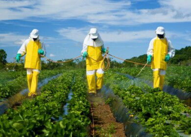 Production of fungicides stays strong in Russia