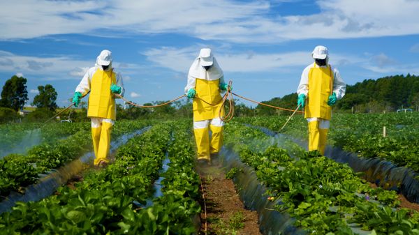 Production of fungicides stays strong in Russia