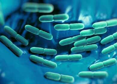 The University of Nizhni Novgorod created innovative fertilizer