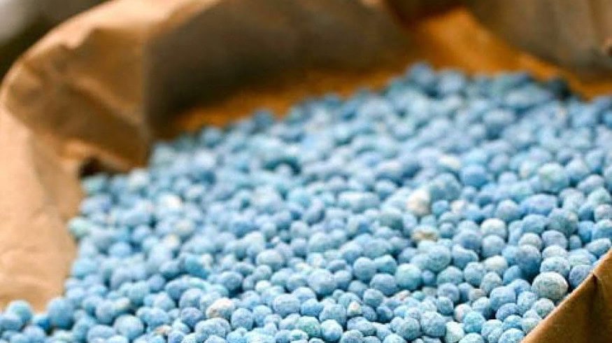 Nitrogen fertilizer production slightly increased in Russia