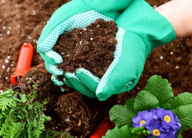 PhosAgro develops biological fertilizers