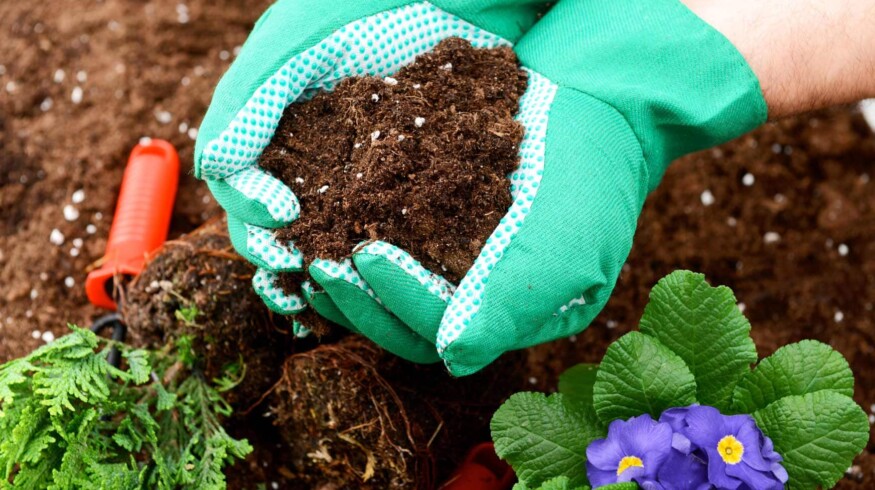 PhosAgro develops biological fertilizers