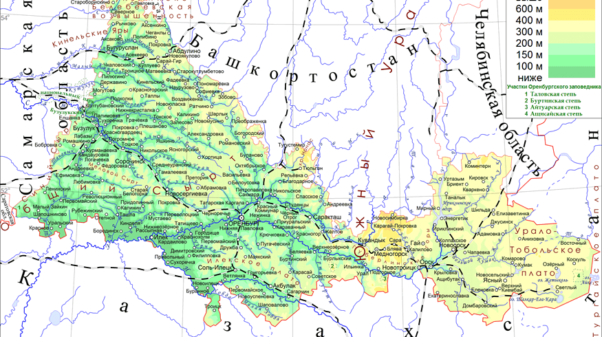 Winter crops may take up to a million hectares in the Orenburg region