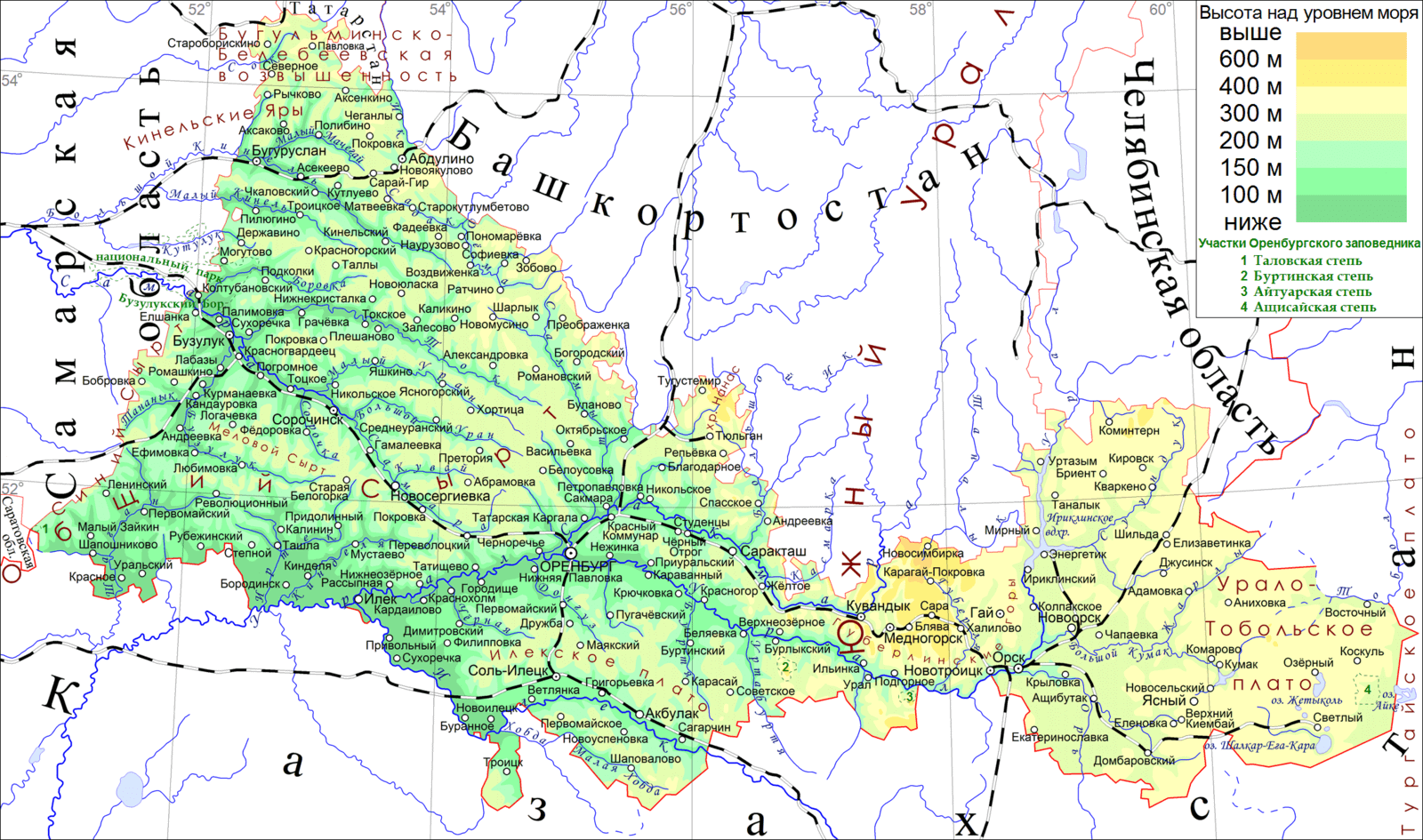 Winter crops may take up to a million hectares in the Orenburg region