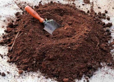 Peat extraction resumed in the Tambov region