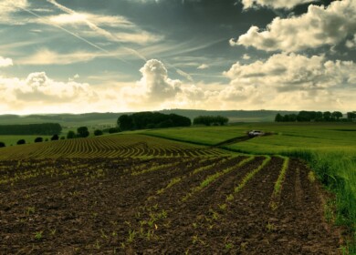 Krasnodar region introduces new laws to increase soil fertility