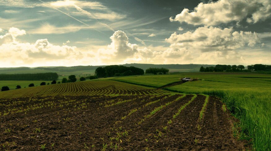 Krasnodar region introduces new laws to increase soil fertility