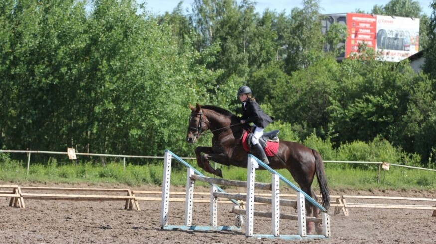 The Novy greenhouse complex will expand by the land of a horsecourse