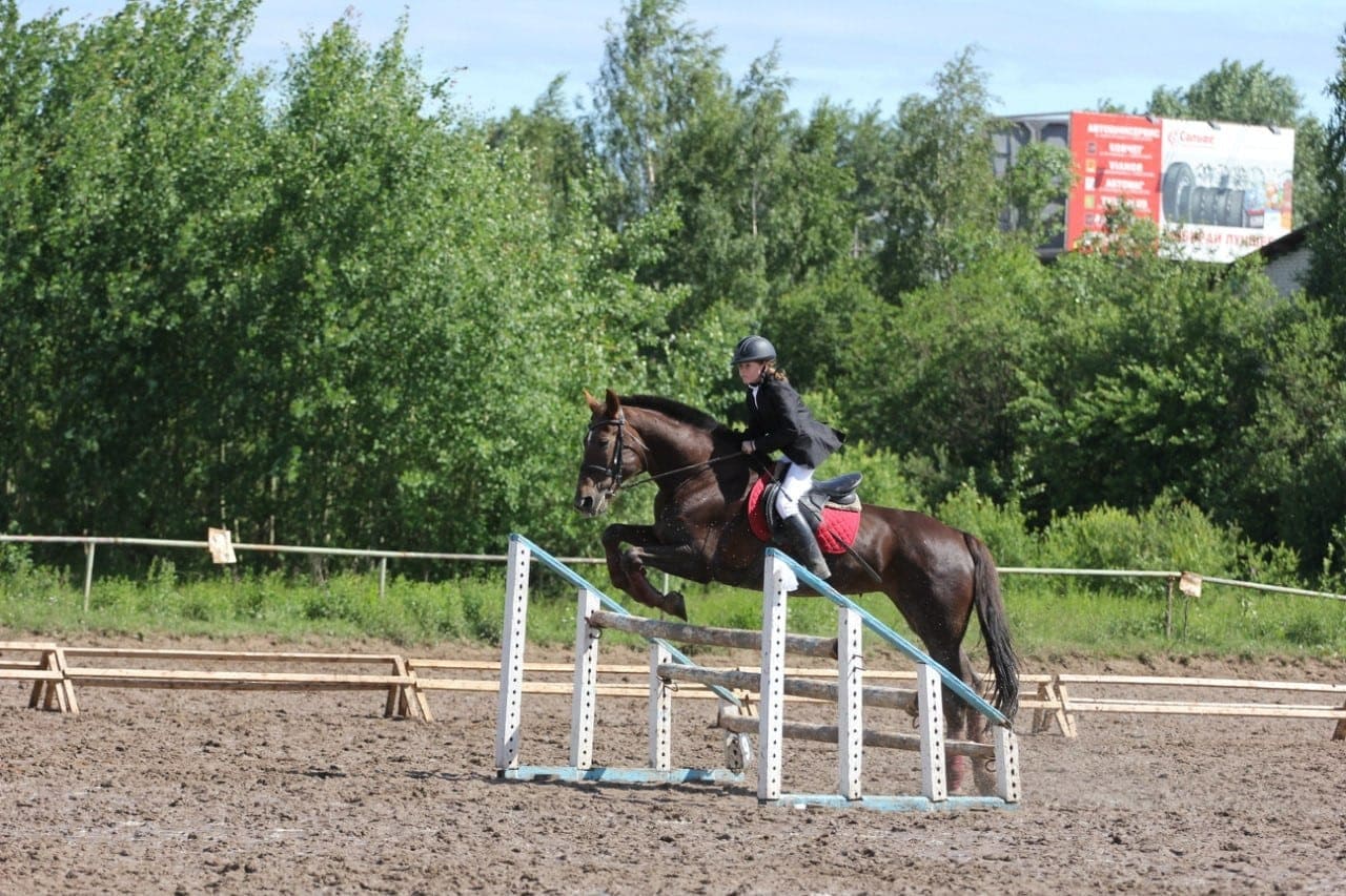 The Novy greenhouse complex will expand by the land of a horsecourse