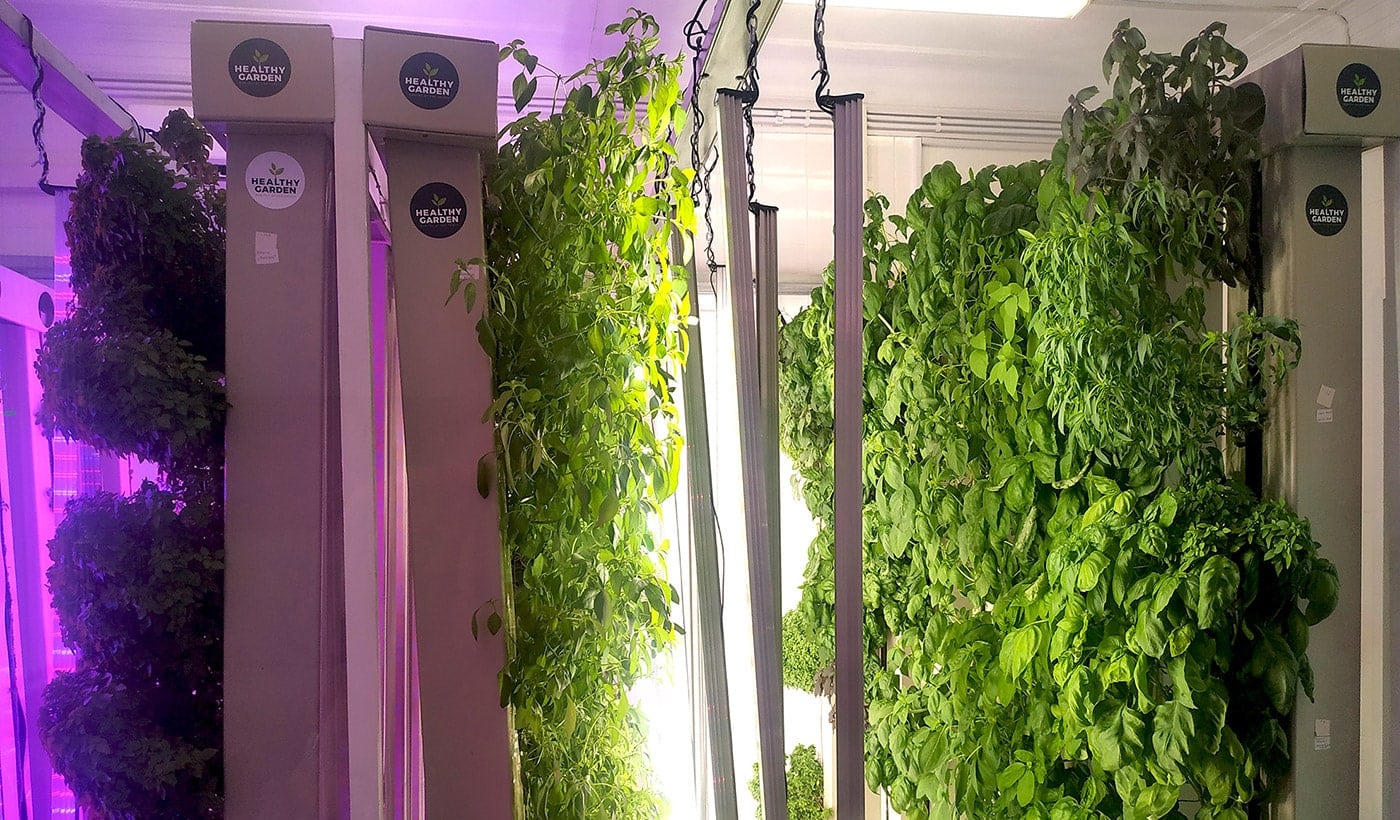 Skolkovo resident created a vertical farms of the future