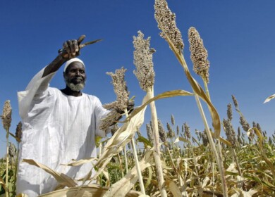 Uralchem plans to start Sudan exports in 2021
