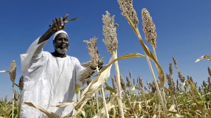 Uralchem plans to start Sudan exports in 2021