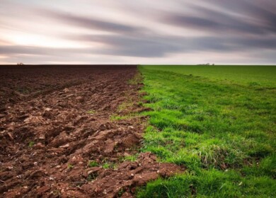 Udmurtia declines area of unused land