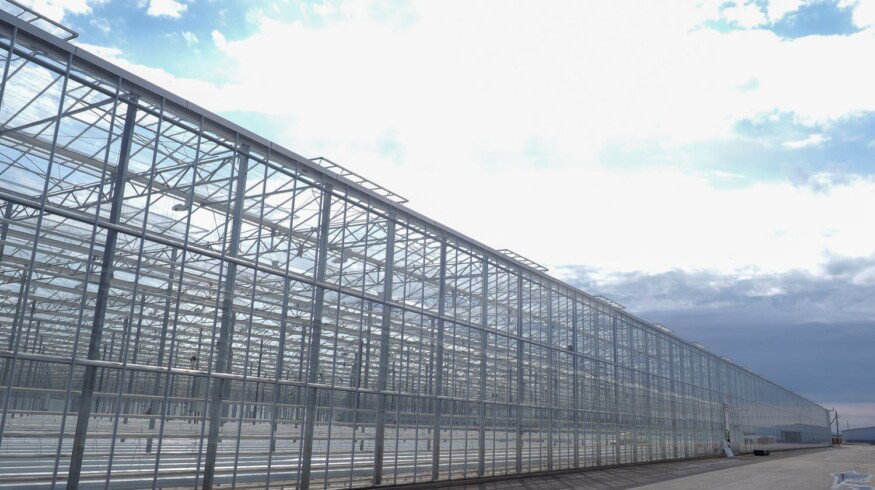 A new greenhouse complex to be constructed in the Orenburg region