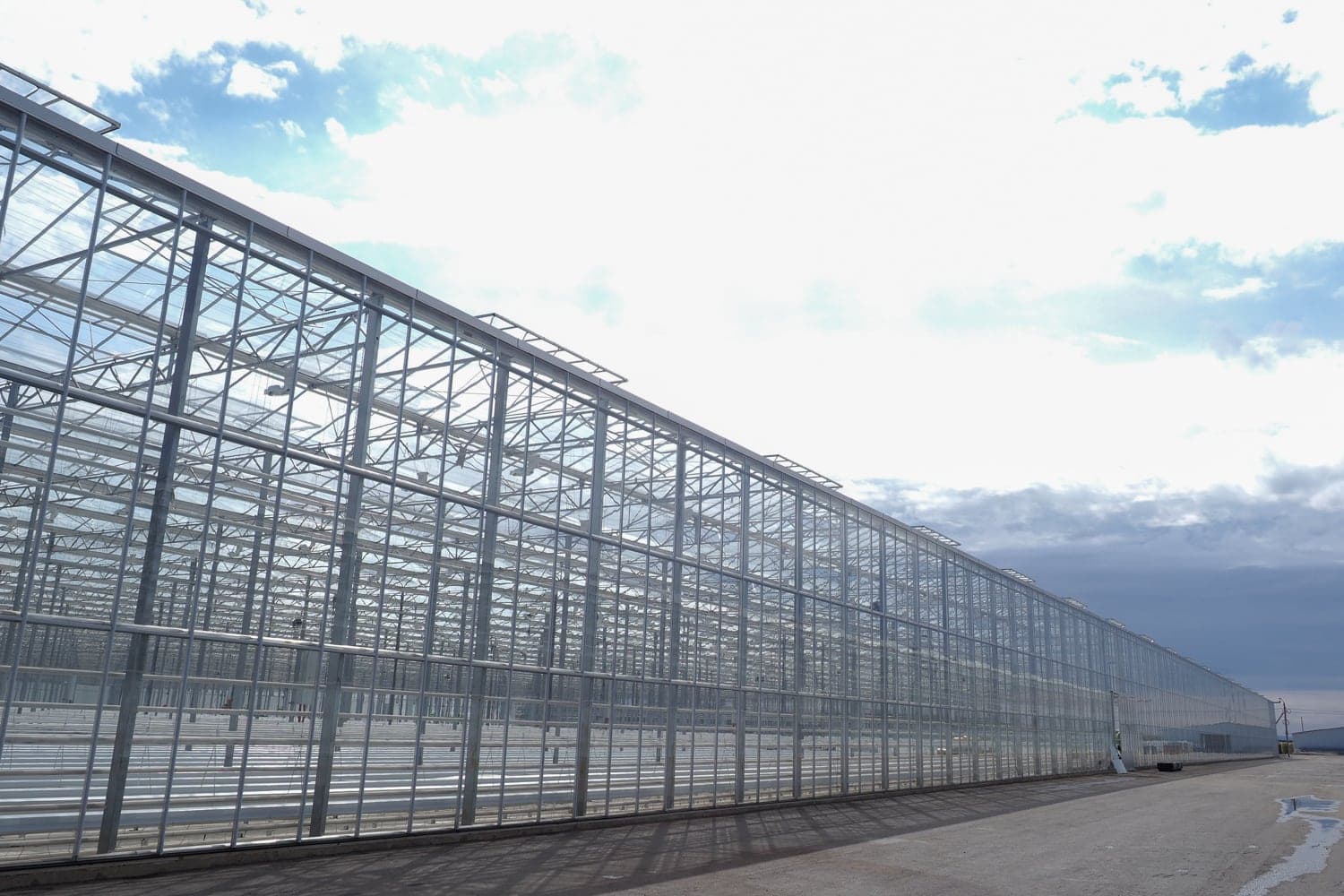 A new greenhouse complex to be constructed in the Orenburg region