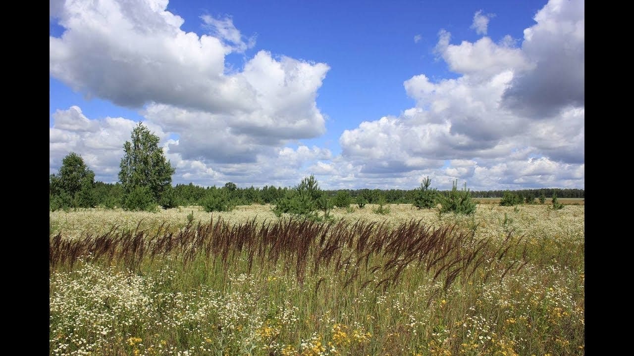 Almost 3.4 million ha of unused land identified in the Far East