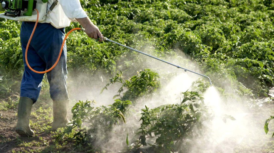Production of pesticides is growing in Russia