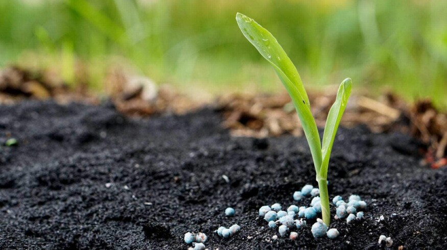 The output of nitrogen fertilizers in Russia exceeded 10 million tons