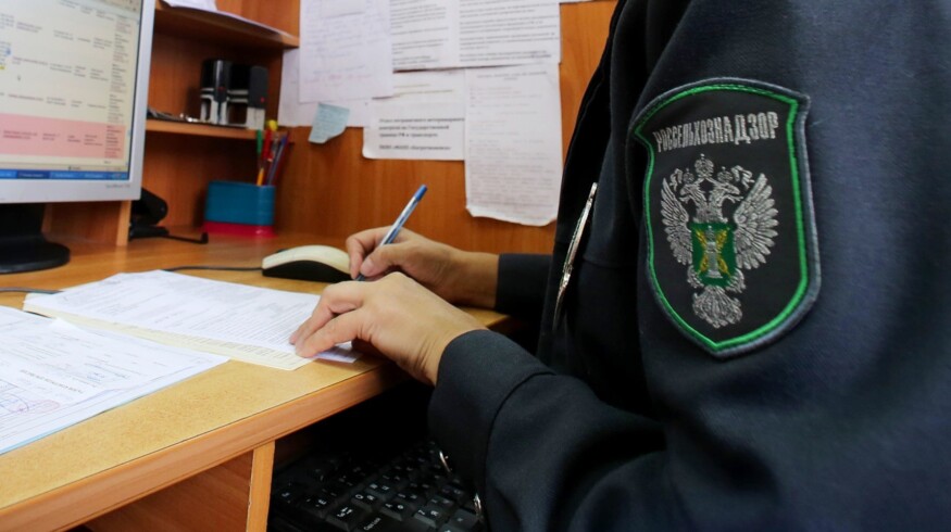 Rosselkhoznadzor took back its old duties