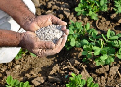 Fertilizer consumption in Russia may reach 4.5 million tons