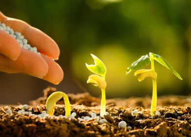 Supplies of agrochemicals to the Russian market jumped by 20.4%