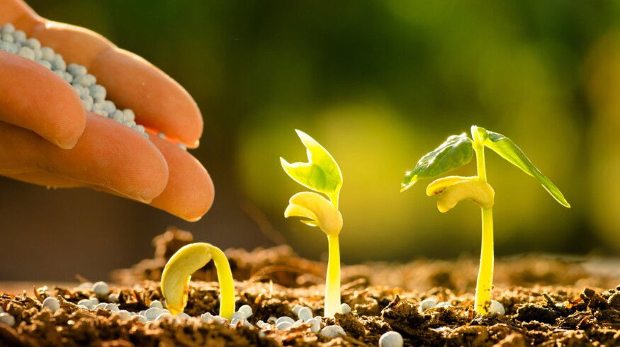 Supplies of agrochemicals to the Russian market jumped by 20.4%